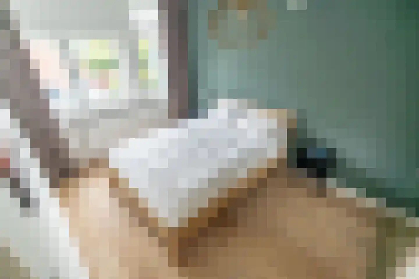 Koperwieklaan 38 Voorschoten thumbnail 34