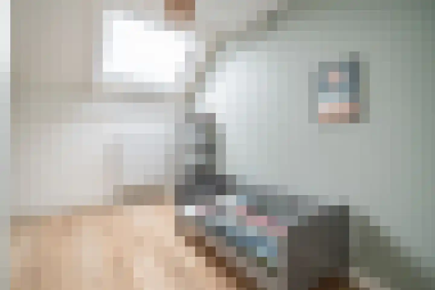 Koperwieklaan 38 Voorschoten thumbnail 38