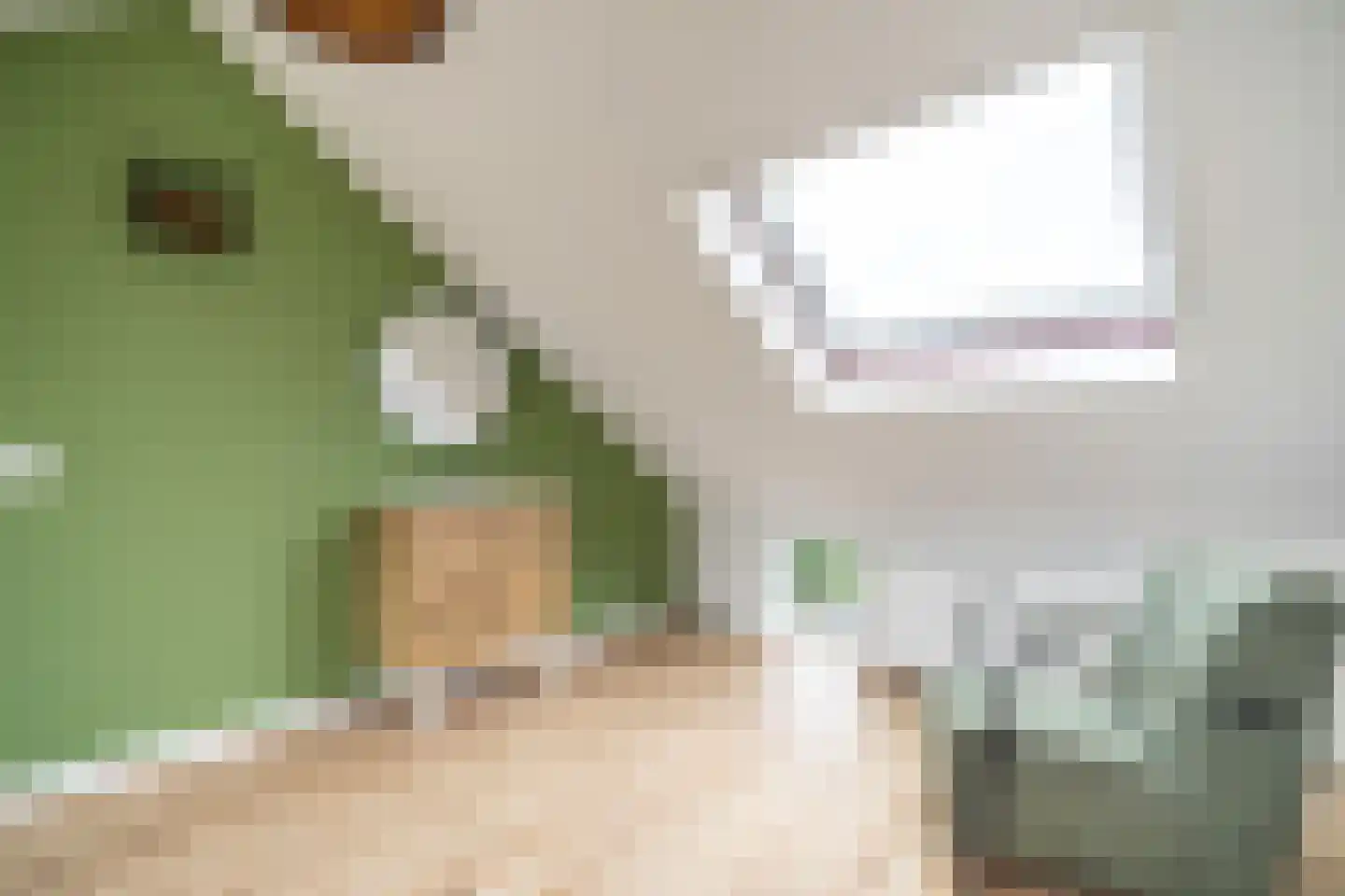 Koperwieklaan 38 Voorschoten thumbnail 51