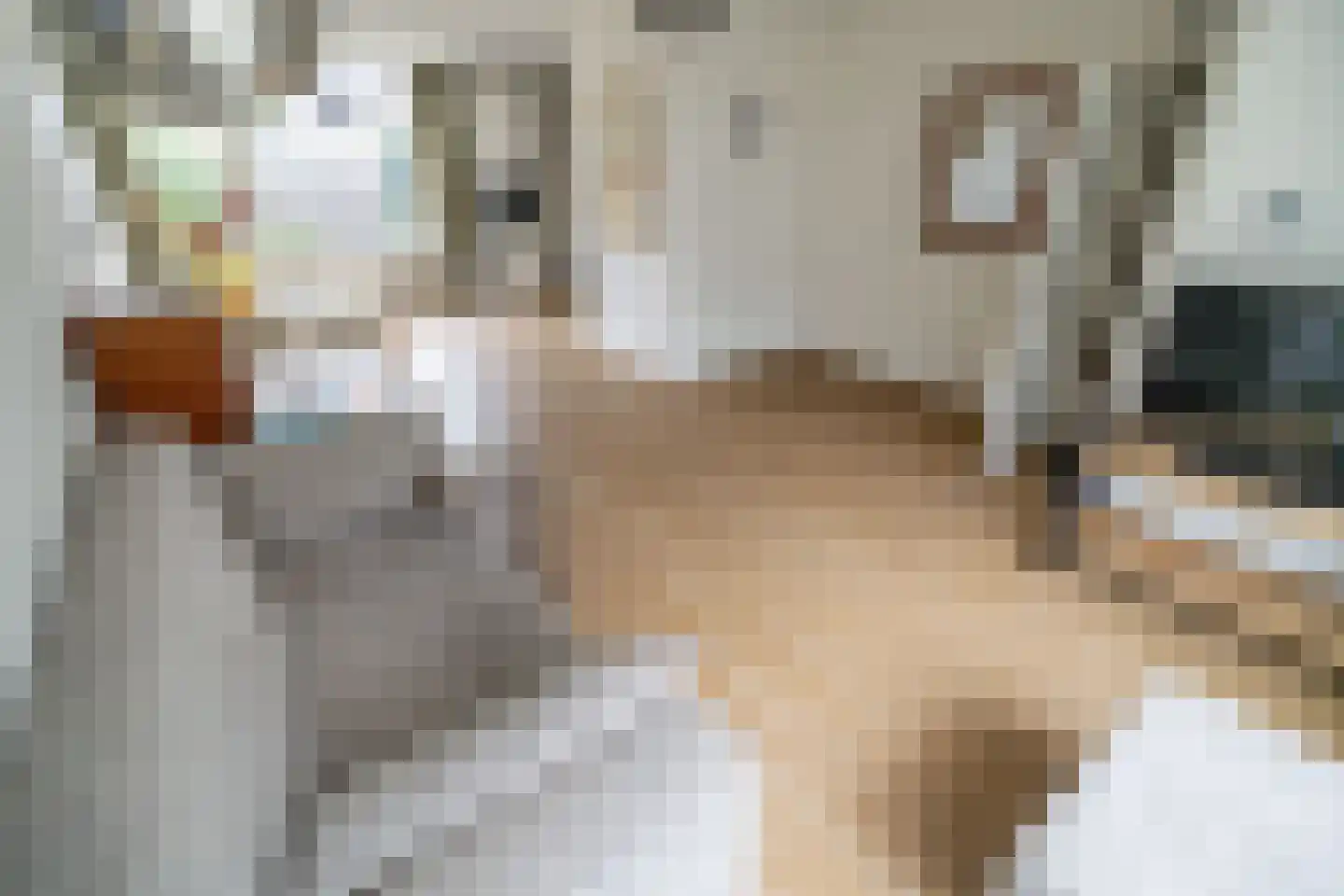 Koperwieklaan 38 Voorschoten thumbnail 6