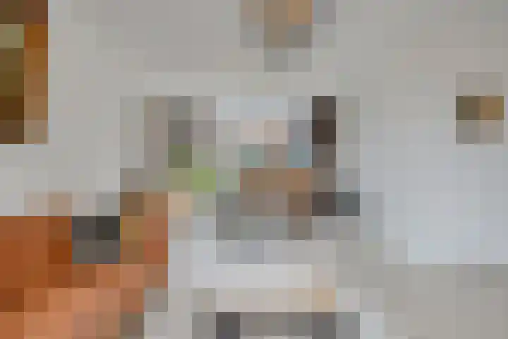 Koperwieklaan 4 Voorschoten thumbnail 11