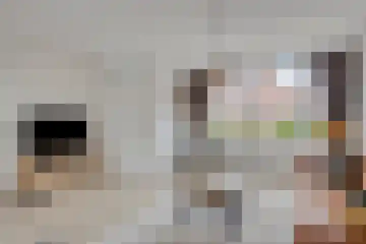 Koperwieklaan 4 Voorschoten thumbnail 12