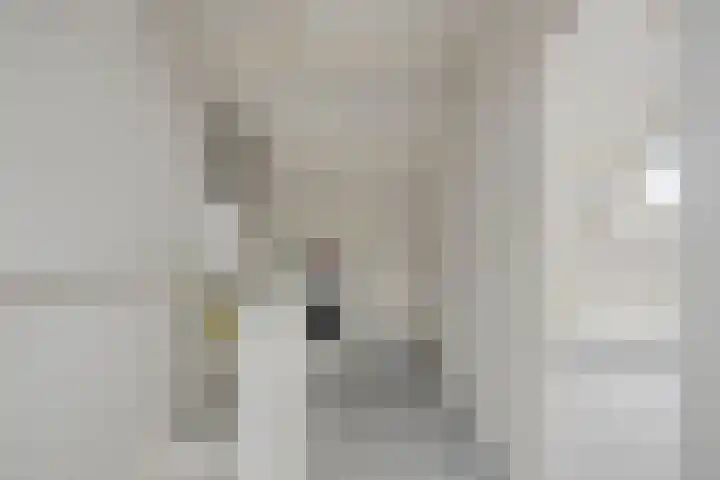 Koperwieklaan 4 Voorschoten thumbnail 29