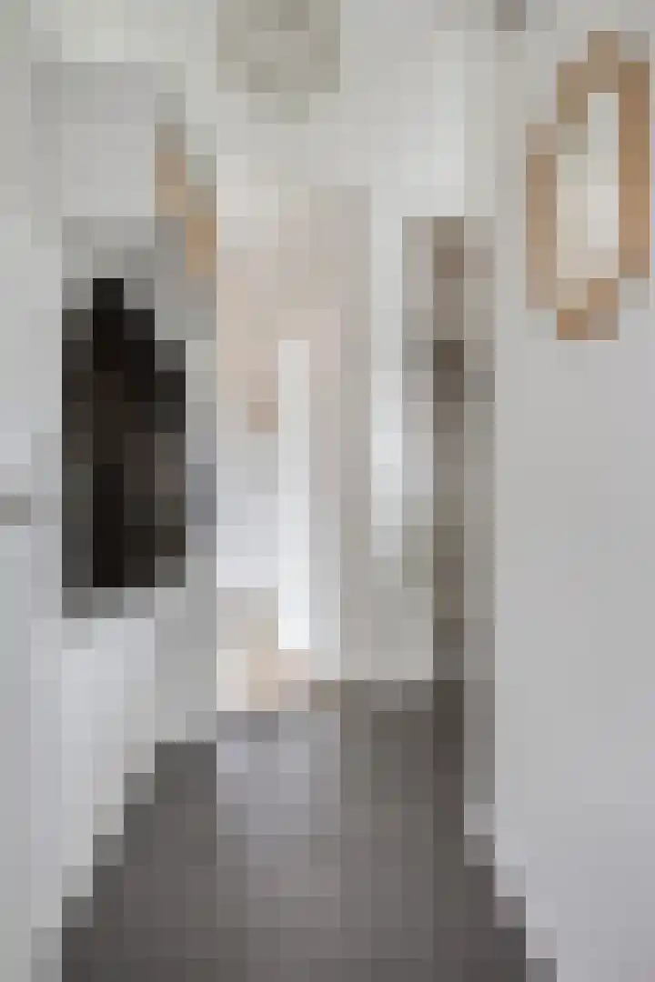 Koperwieklaan 4 Voorschoten thumbnail 8