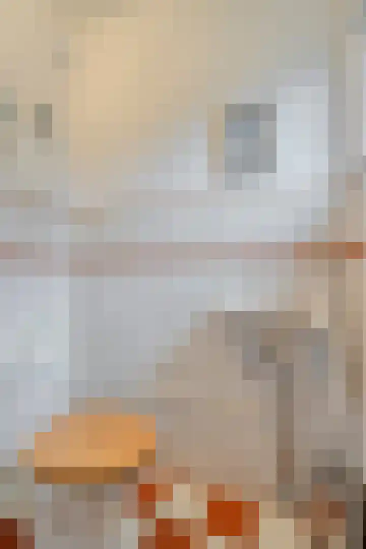 Koperwieklaan 4 Voorschoten thumbnail 9