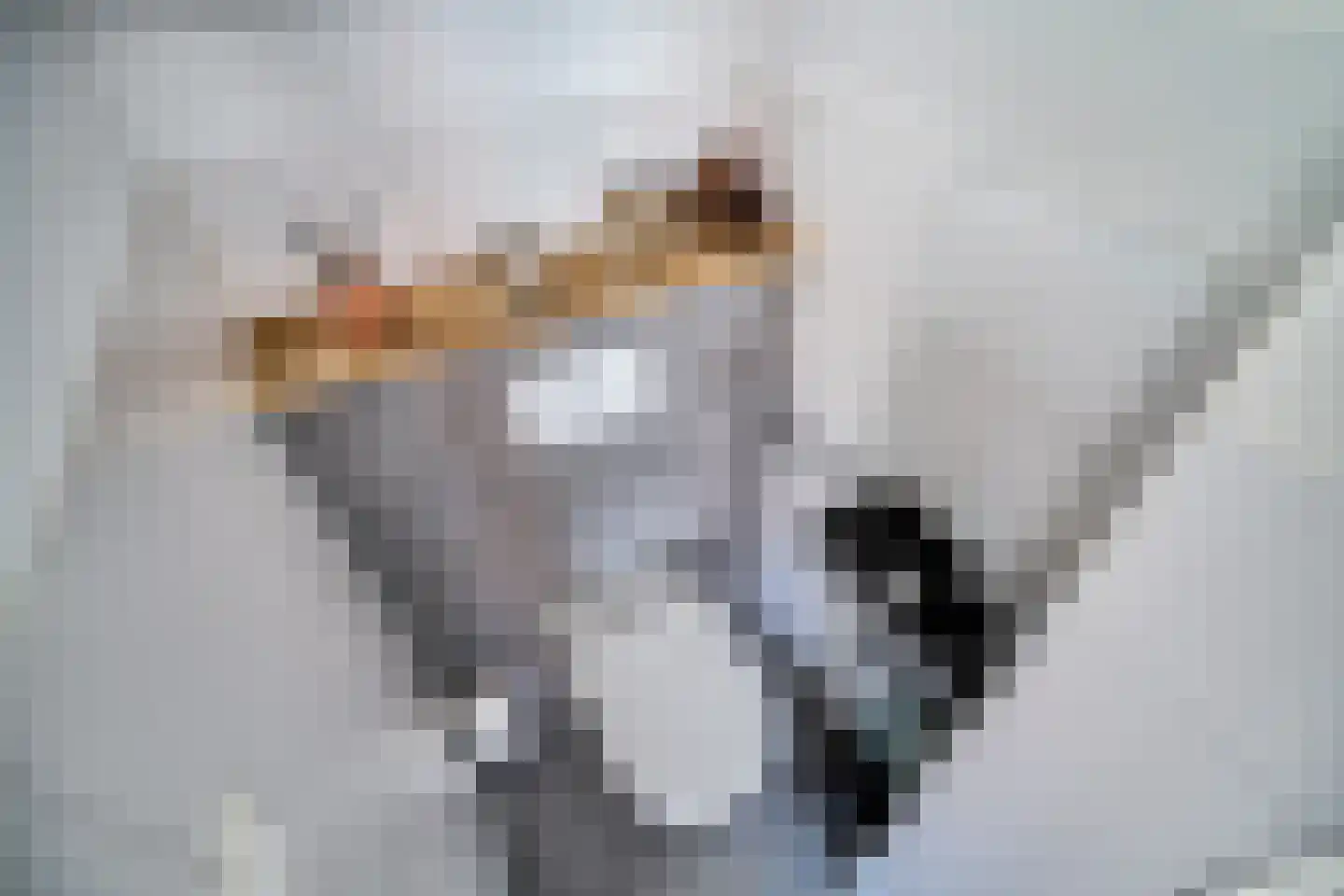 Koperwieklaan 67 Voorschoten thumbnail 10