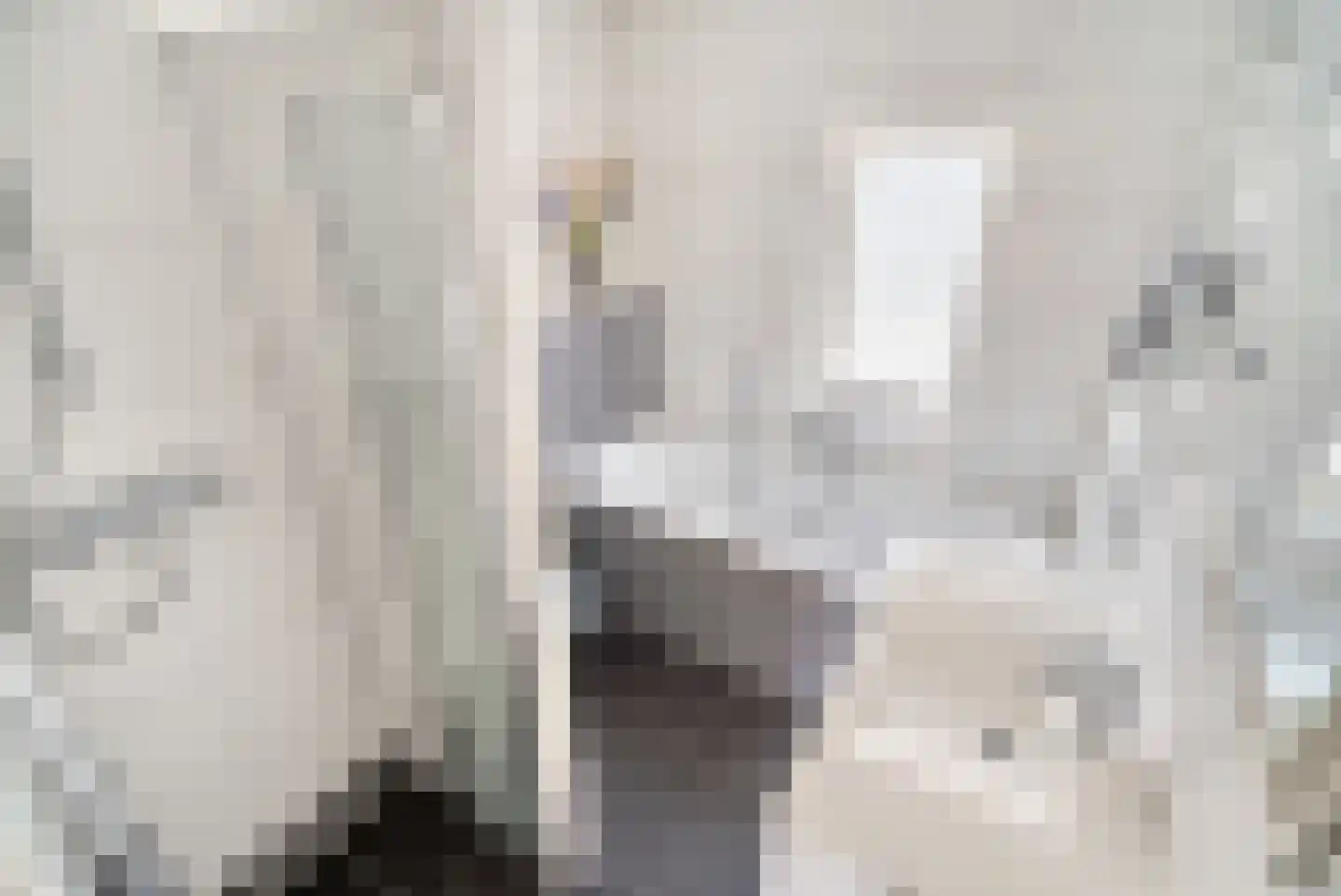 Koperwieklaan 67 Voorschoten thumbnail 33