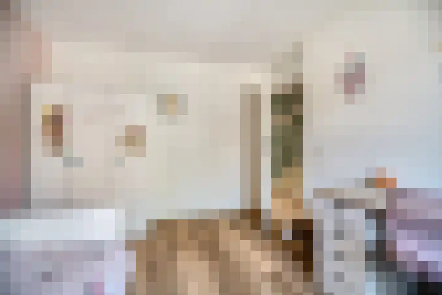 Koperwieklaan 67 Voorschoten thumbnail 43