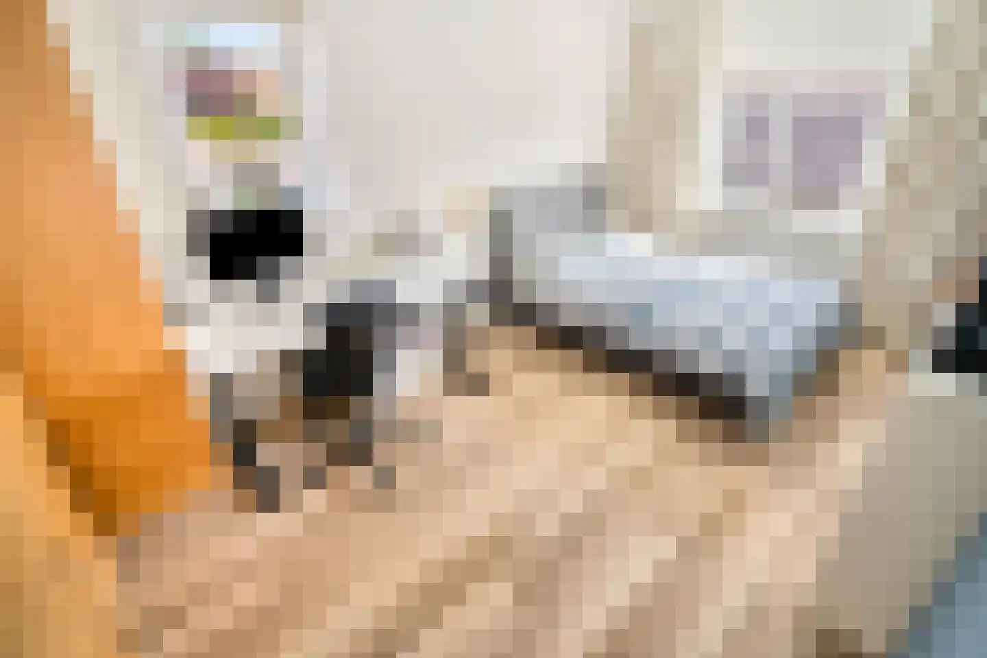 Koperwieklaan 67 Voorschoten thumbnail 44