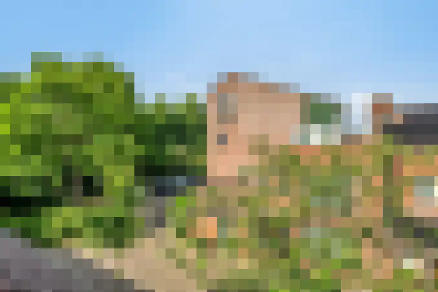 Koperwieklaan 67 Voorschoten thumbnail 54