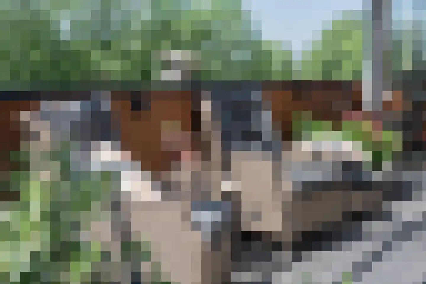 Koperwiekplein 52 Enkhuizen thumbnail 41