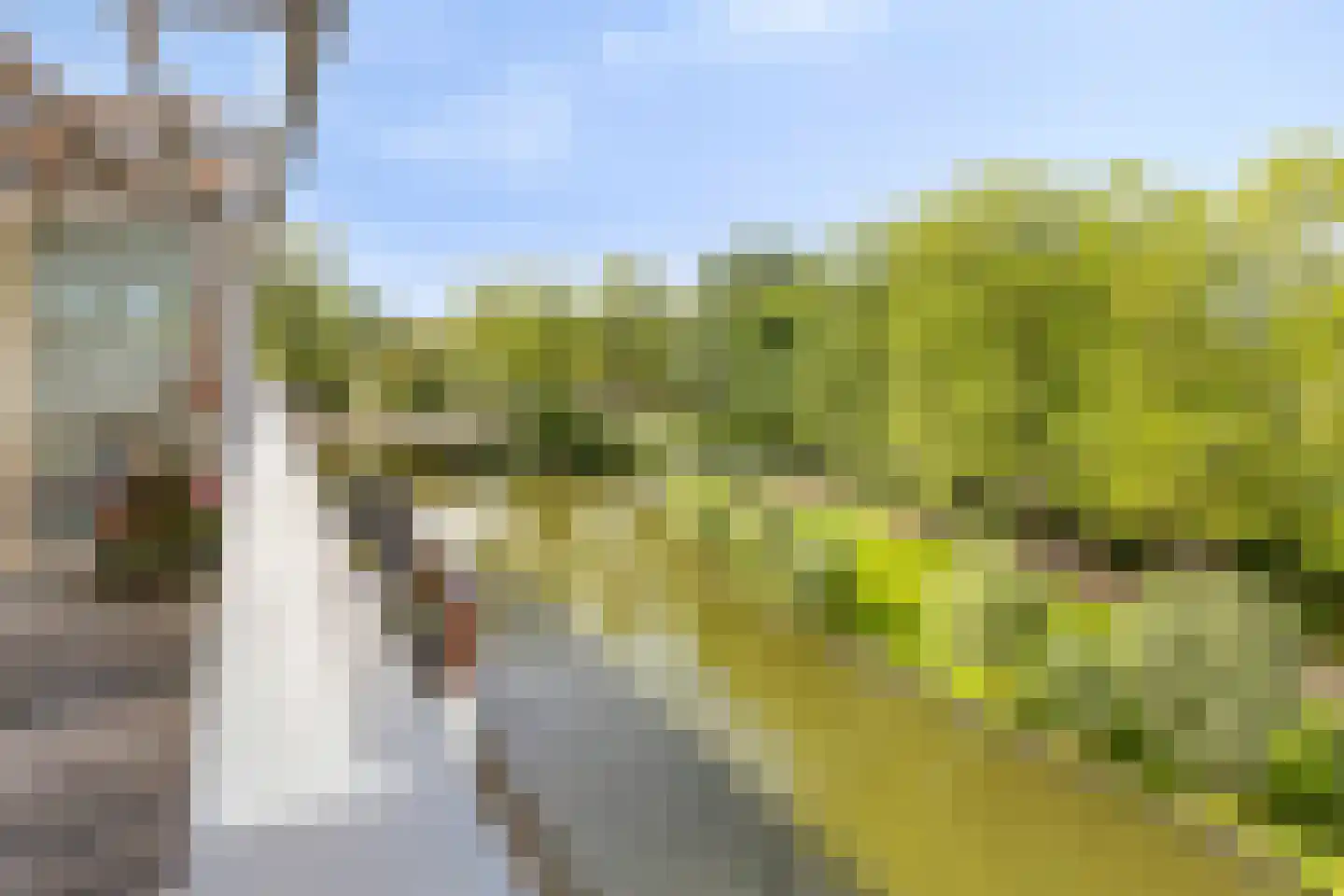 Koperwiekplein 57 Enkhuizen thumbnail 5