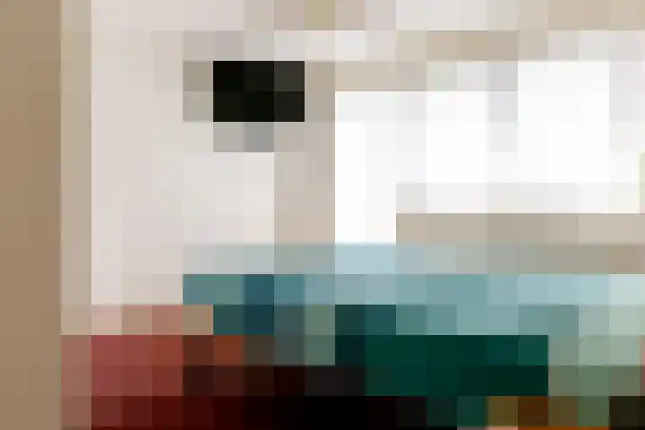 Koperwiekstraat 10 Rheden thumbnail 10