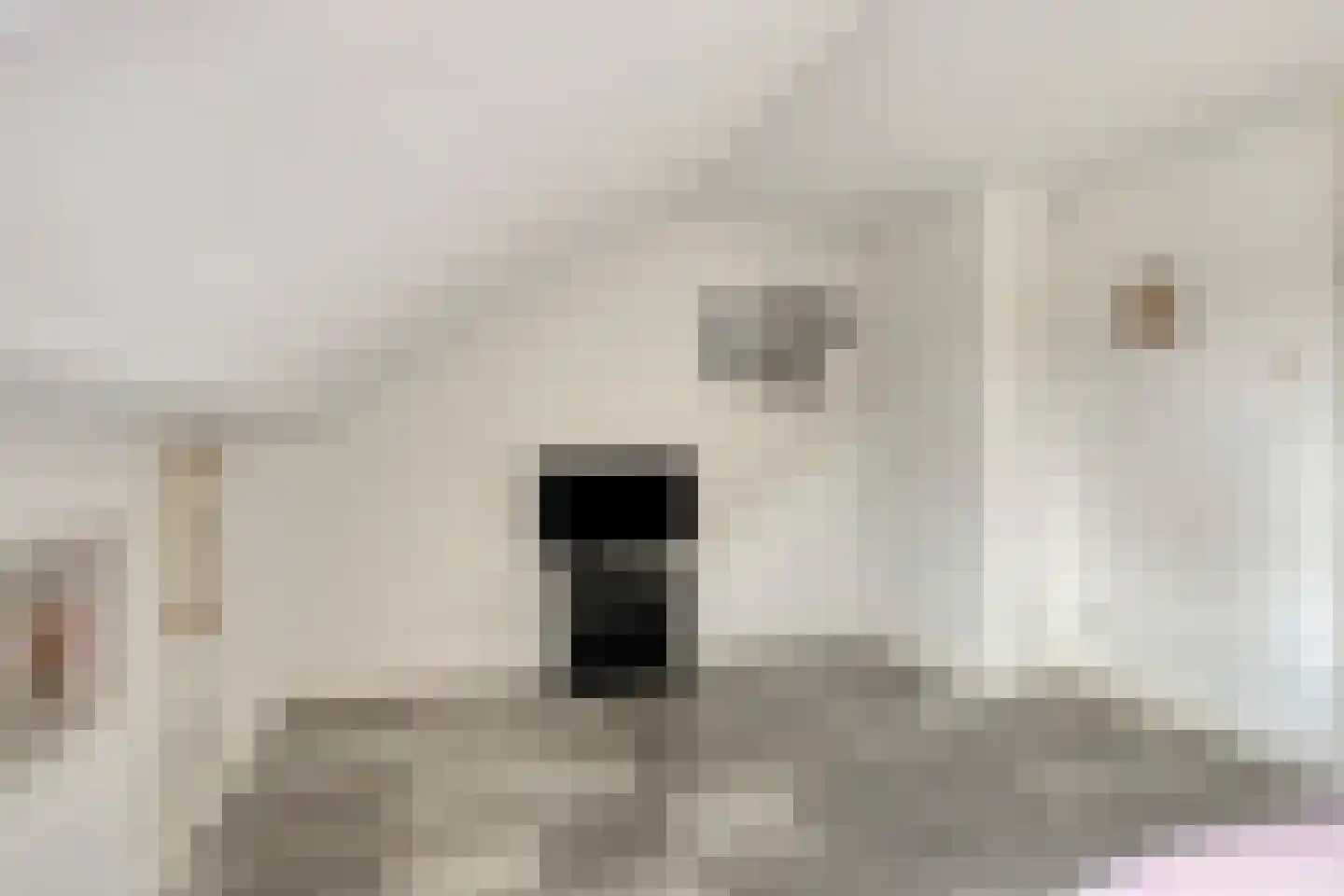 Koperwiekstraat 24 Uitgeest thumbnail 19
