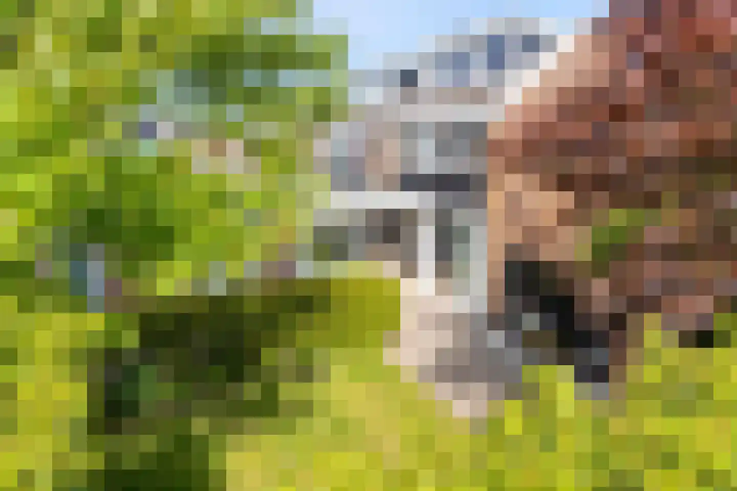 Koperwiekstraat 24 Uitgeest thumbnail 27