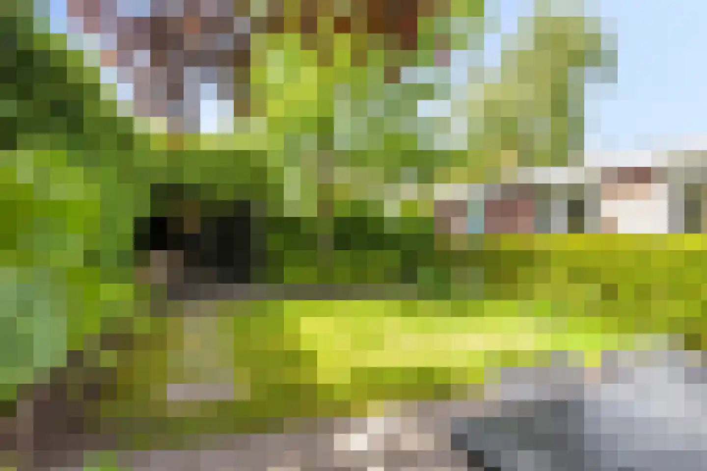 Koperwiekstraat 24 Uitgeest thumbnail 31