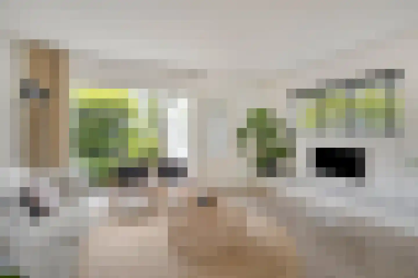 Koperwiekstraat 24 Uitgeest thumbnail 4