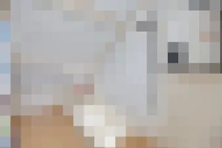 Koperwiekstraat 3 Rheden thumbnail 21