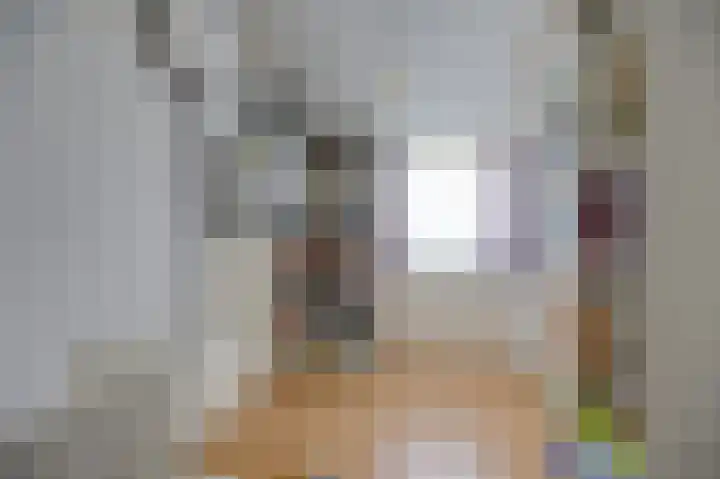 Koperwiekstraat 3 Rheden thumbnail 22