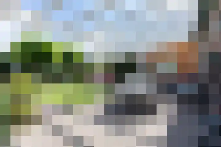 Koperwiekstraat 3 Rheden thumbnail 25