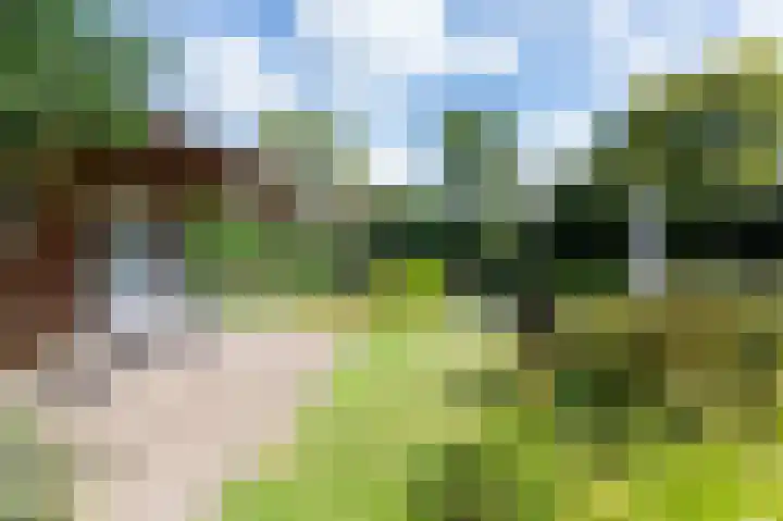 Koperwiekstraat 3 Rheden thumbnail 27