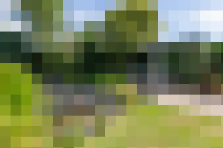 Koperwiekstraat 3 Rheden thumbnail 30