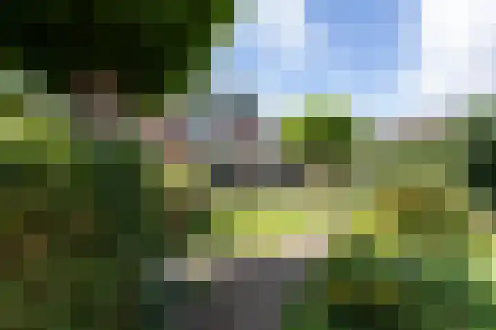 Koperwiekstraat 3 Rheden thumbnail 32