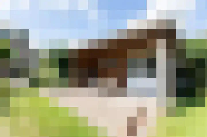 Koperwiekstraat 3 Rheden thumbnail 34