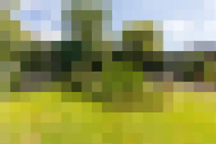 Koperwiekstraat 3 Rheden thumbnail 36