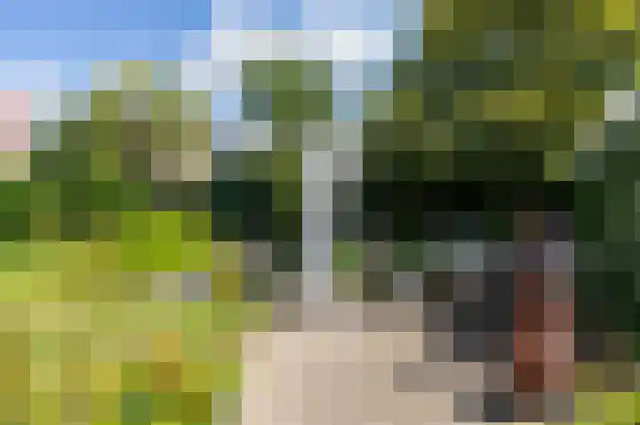 Koperwiekstraat 3 Rheden thumbnail 37