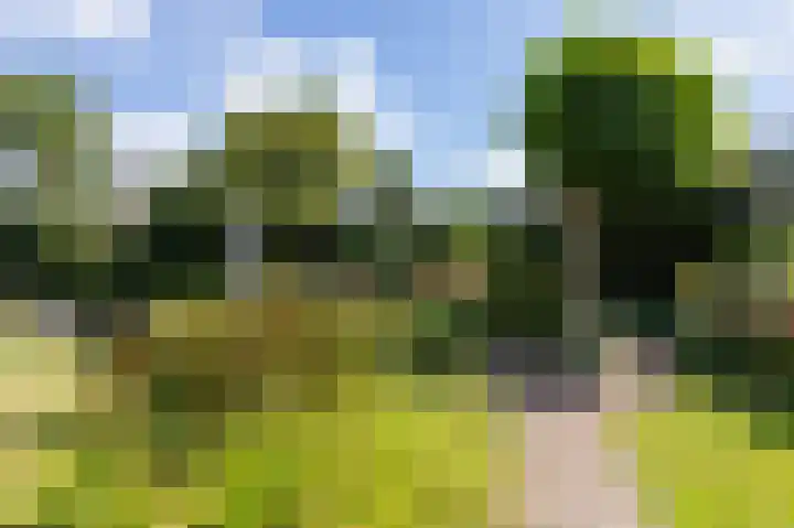 Koperwiekstraat 3 Rheden thumbnail 38