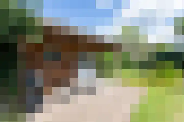 Koperwiekstraat 3 Rheden thumbnail 4