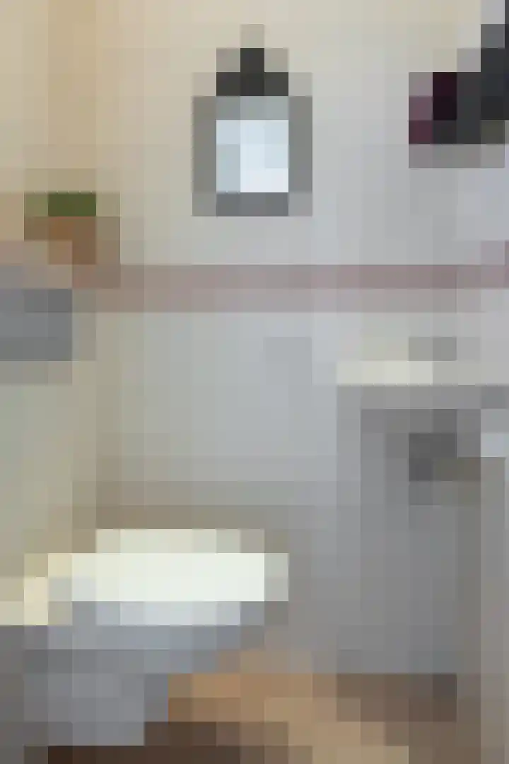 Koperwiekstraat 3 Rheden thumbnail 8