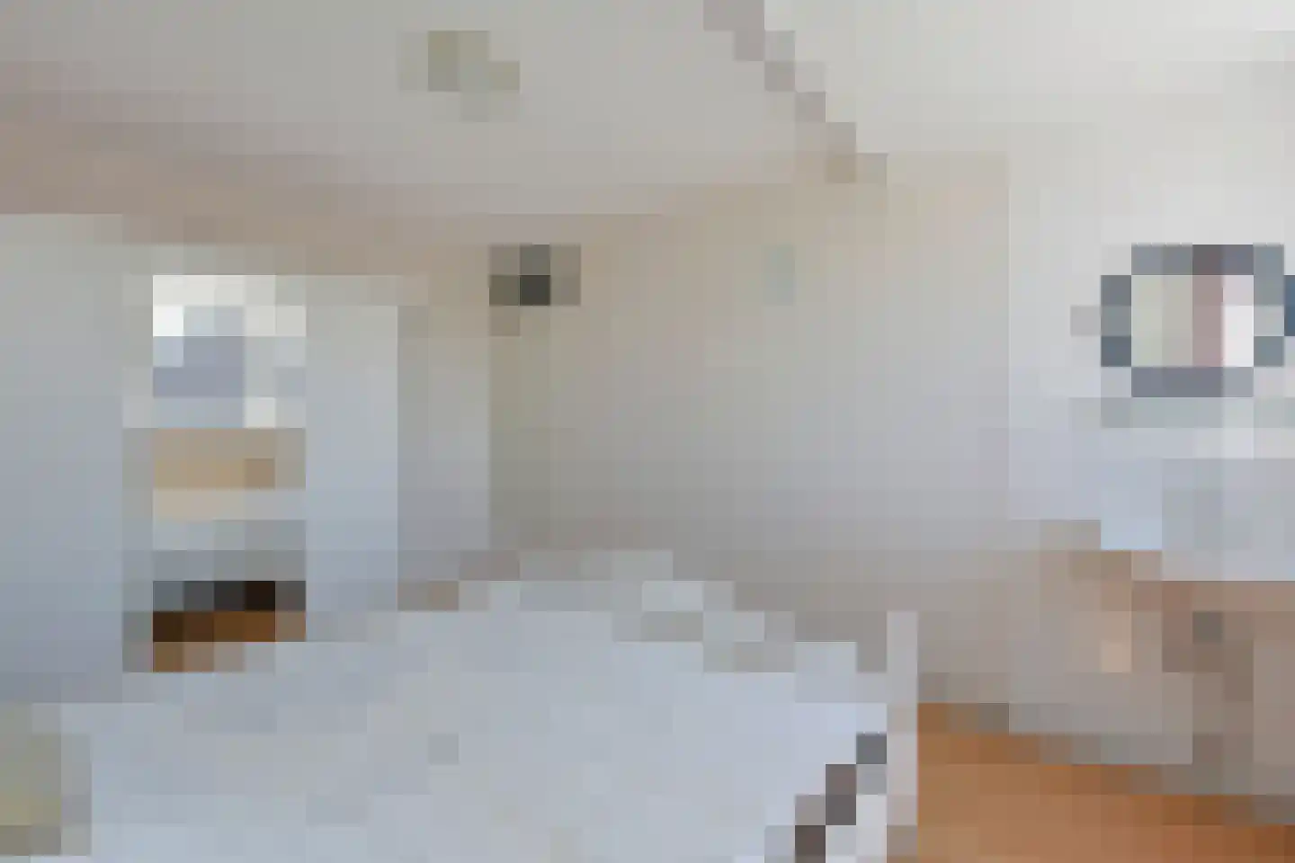 Koperwiekstraat 3 Woerdense Verlaat thumbnail 11