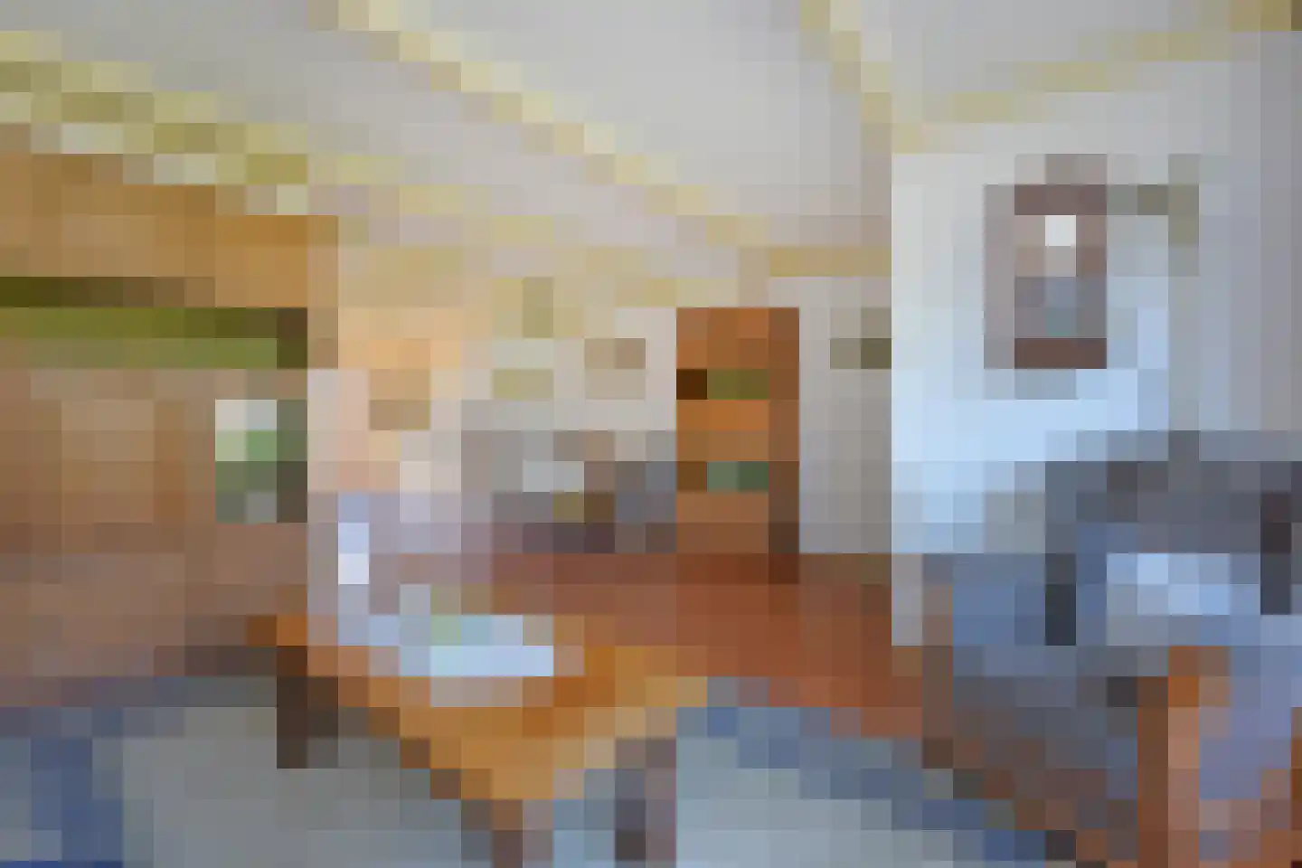 Koperwiekstraat 3 Woerdense Verlaat thumbnail 8