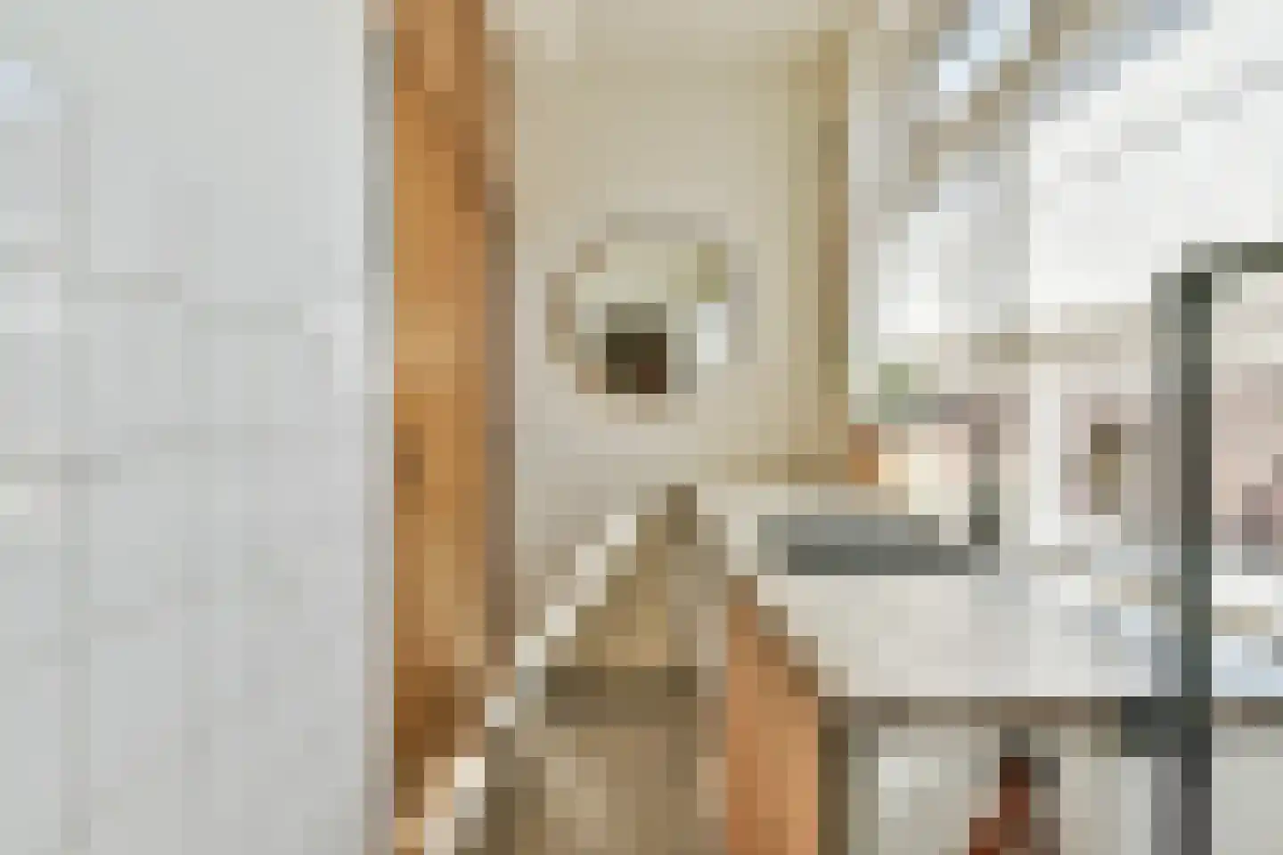 Kopjeskampen 2 Laren thumbnail 10