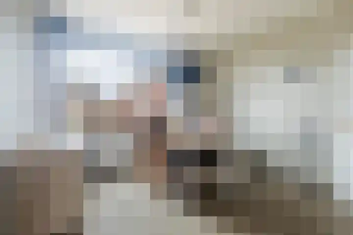 Kopkewier 22 Marrum thumbnail 10