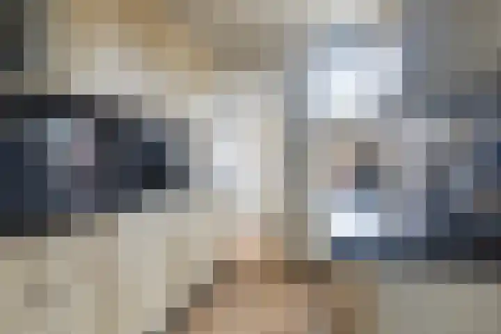 Kopkewier 22 Marrum thumbnail 13