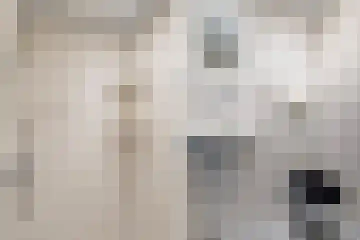 Kopkewier 22 Marrum thumbnail 27