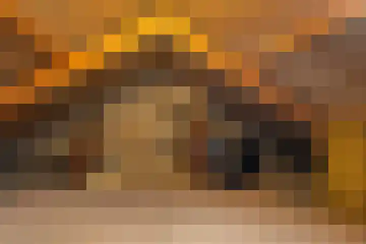 Kopkewier 22 Marrum thumbnail 30