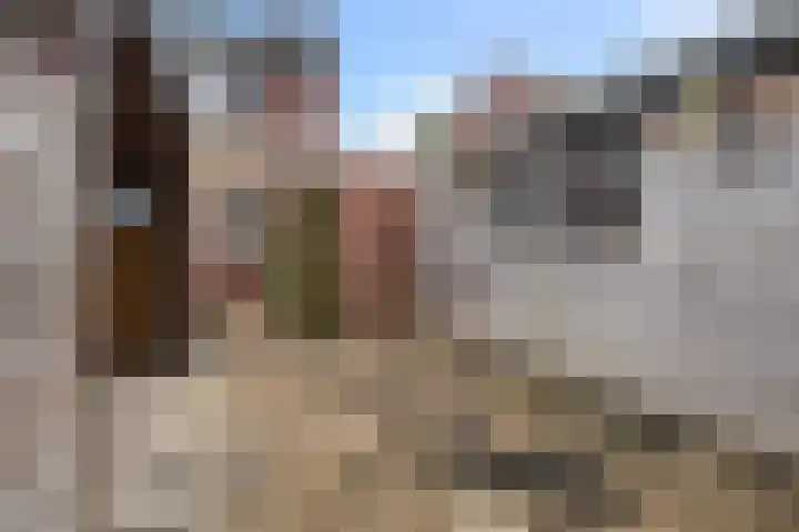 Kopkewier 22 Marrum thumbnail 31