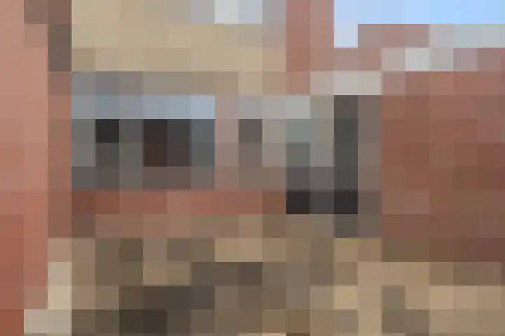Kopkewier 22 Marrum thumbnail 32
