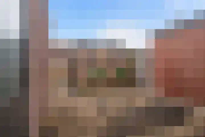 Kopkewier 22 Marrum thumbnail 34