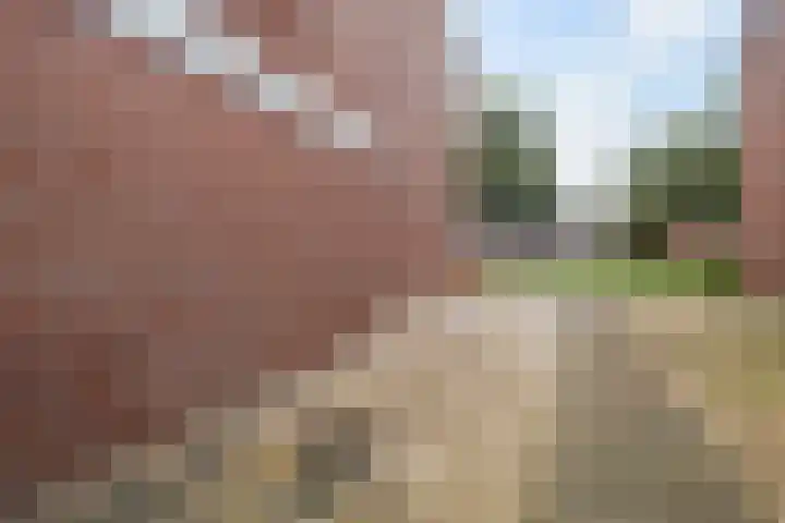 Kopkewier 22 Marrum thumbnail 36