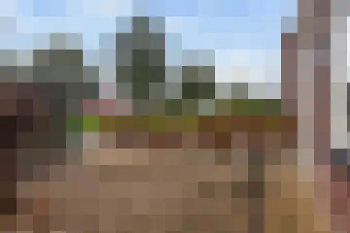 Kopkewier 22 Marrum thumbnail 39