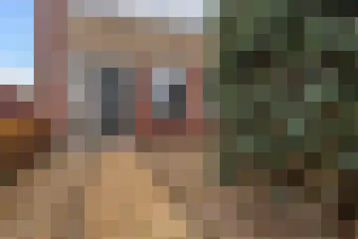 Kopkewier 22 Marrum thumbnail 4
