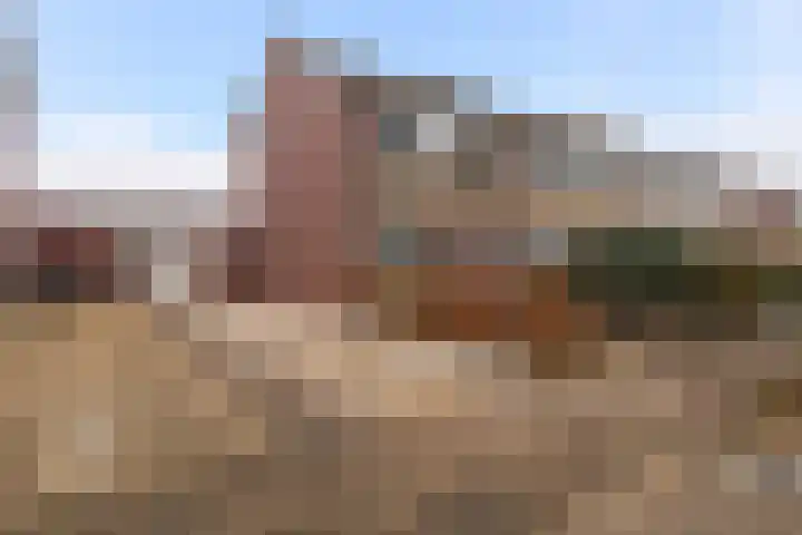 Kopkewier 22 Marrum thumbnail 41