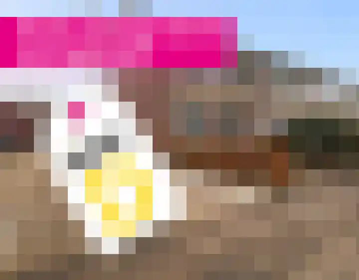 Kopkewier 22 Marrum thumbnail 42