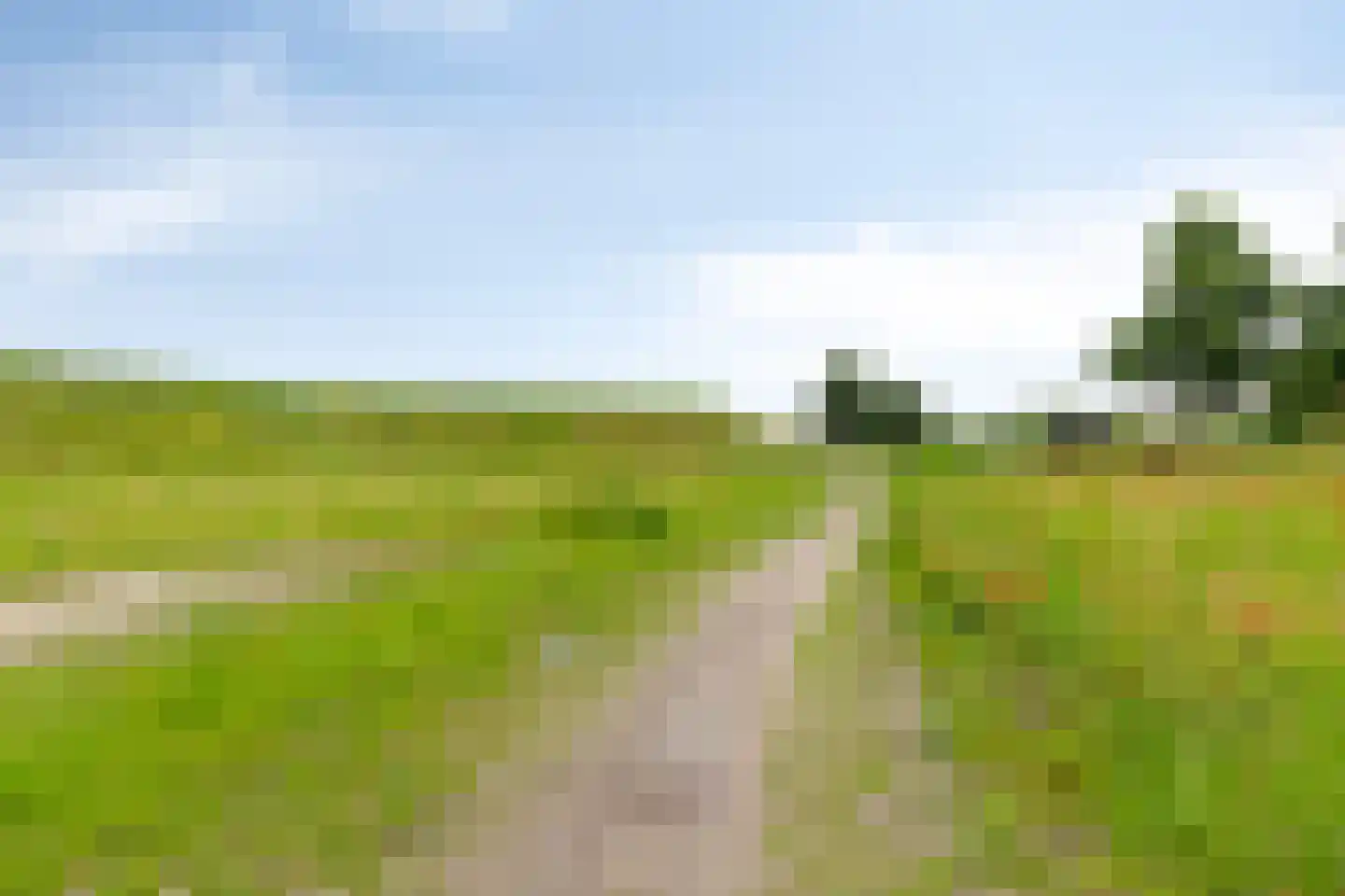 Koploper 18 Kampen thumbnail 78