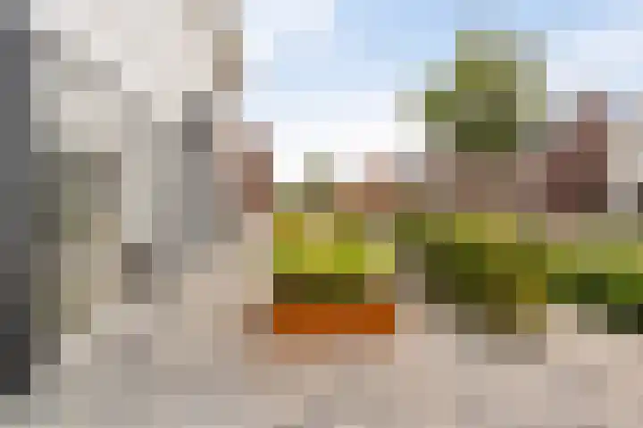 Koploper 20 Kampen thumbnail 14